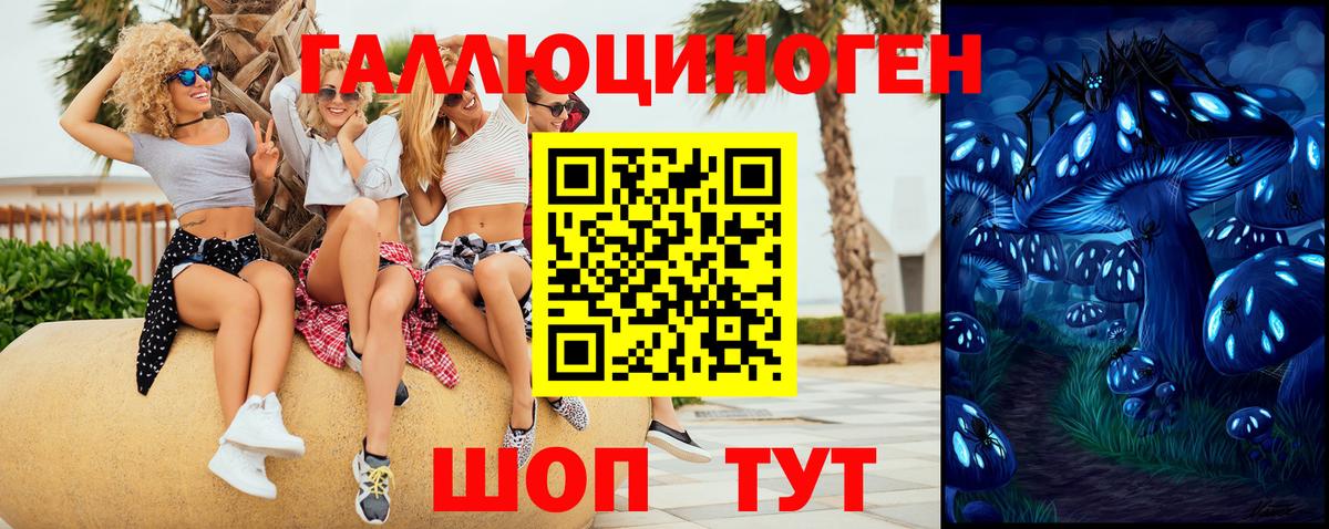 где можно купить наркотик  Вход с VPN  Гусев  Псилоцибиновые грибы Psilocybine cubensis 